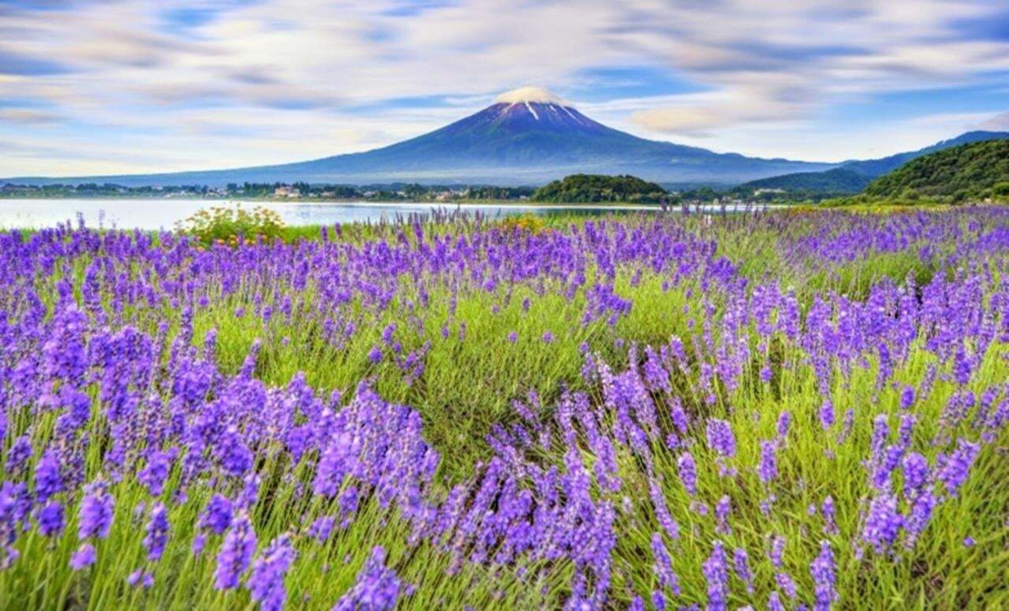 Tokio: Berg Fuji und Kawaguchi-See: 1-tägige Bustour mit Panoramablick