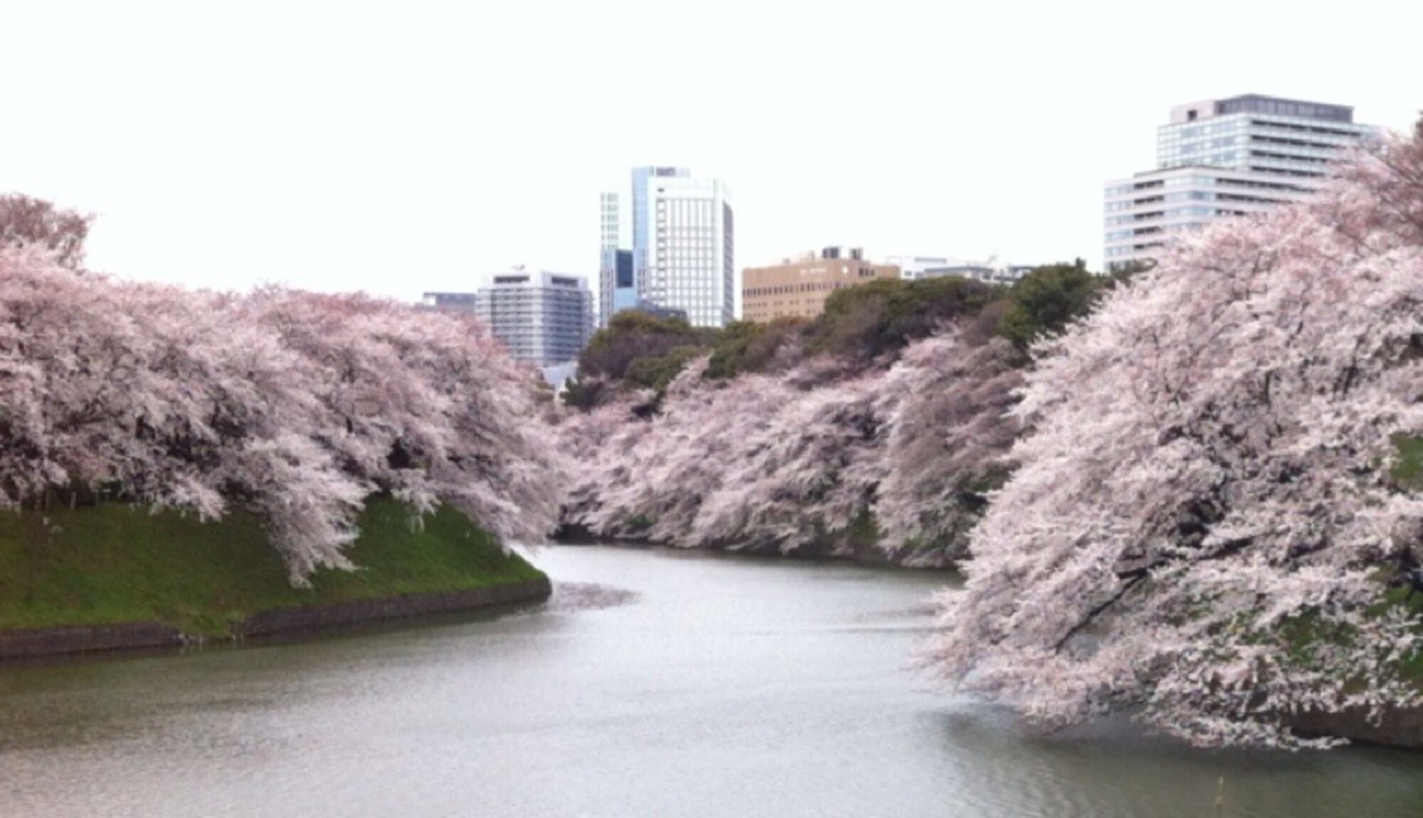 Nationalfriedhof Chidorigafuchi
